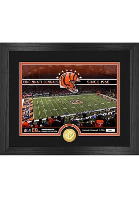 Cincinnati Bengals Stadium Silver Coin and Photo Plaque