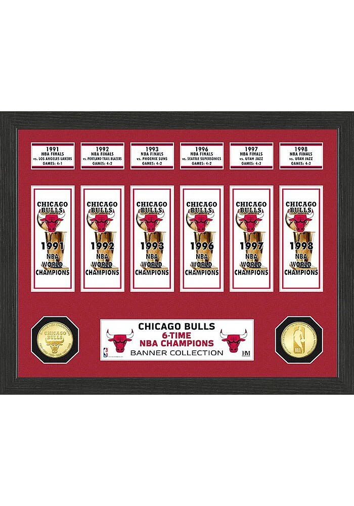 Chicago Bulls Banner Bronze Coin Photo Mint Plaque