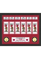 Chicago Bulls Banner Bronze Coin Photo Mint Plaque