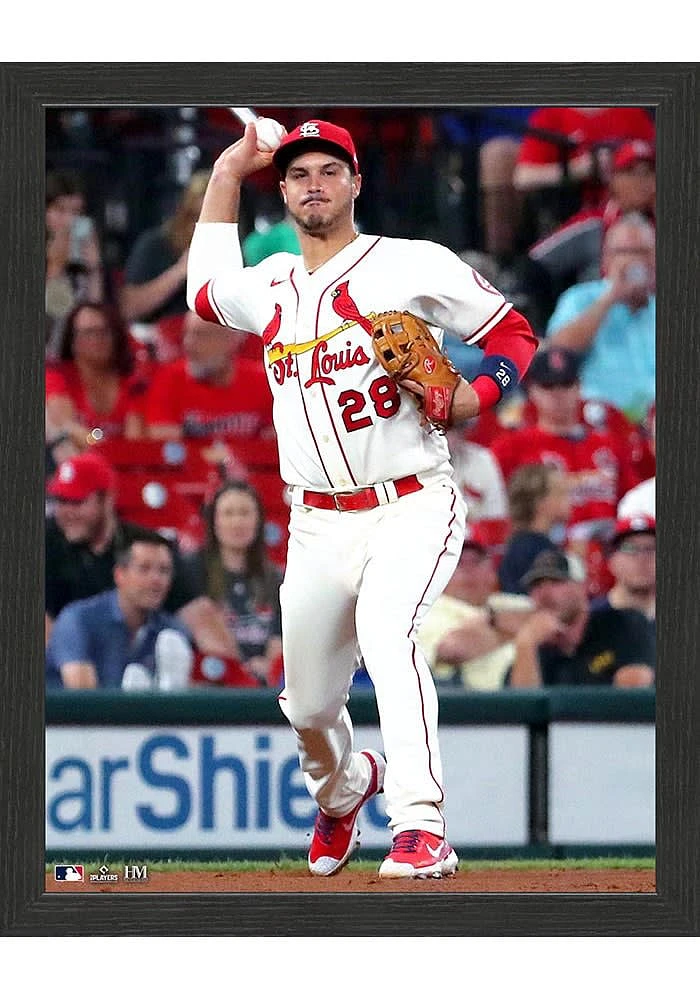 St Louis Cardinals Player Action Picture Frame - Black