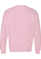 Akron Zips Womens Pink Classic Crew Sweatshirt