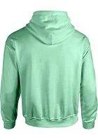 Michigan State Spartans Womens Green Classic Hooded Sweatshirt