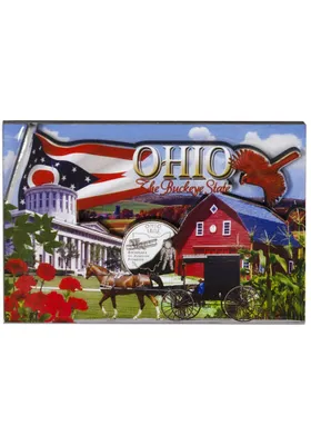 Ohio Photo Montage Magnet