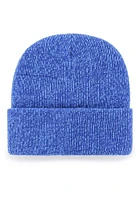 47 Dallas Mavericks Blue Brain Freeze Cuff Mens Knit Hat