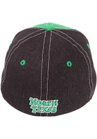 North Texas Mean Green Mens Green Clash Flex Hat