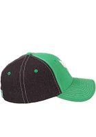 North Texas Mean Green Mens Green Clash Flex Hat