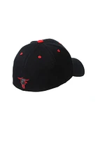 Texas Tech Red Raiders Mens Black Element Flex Hat