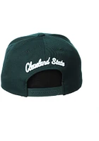 Cleveland State Vikings Green Z11 Mens Snapback Hat