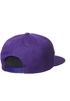 Prairie View A&M Panthers Z11 Adjustable Hat - Purple