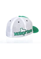 North Texas Mean Green Mens Fanstand Meshback Flex Hat