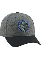 Saint Louis Billikens Grey Playroom Youth Adjustable Hat