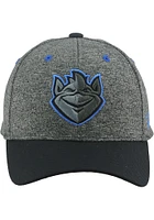 Saint Louis Billikens Grey Playroom Youth Adjustable Hat