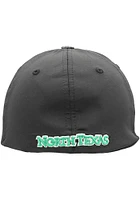 North Texas Mean Green Mens Black 1st and Goal Flex Hat