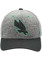 North Texas Mean Green Grey Playroom Youth Adjustable Hat