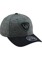 Wayne State Warriors Grey Playroom Youth Adjustable Hat