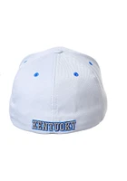 Kentucky Wildcats Mens White ZH Flex Hat