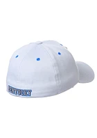 Kentucky Wildcats Mens White ZH Flex Hat