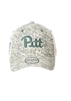 Pitt Panthers Trucker Adjustable Hat - Green