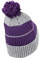 Northern Iowa Panthers Purple Owens Ribbed Beanie Mens Knit Hat