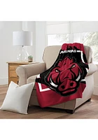 Arkansas Razorbacks Dimensional Micro 46x60 Raschel Throw Blanket - Cardinal
