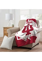 Indiana Hoosiers Dimensional Micro 46x60 Raschel Blanket