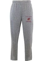 Concepts Sport Central Michigan Chippewas Mens Grey Mainstream Fashion Sweatpants