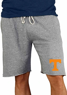 Concepts Sport Tennessee Volunteers Mens Grey Mainstream Shorts