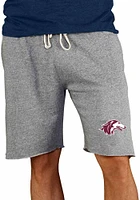 Concepts Sport Southern Illinois Salukis Mens Grey Mainstream Shorts