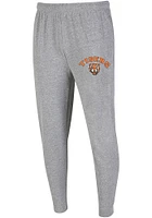 Concepts Sport Detroit Tigers Mens Grey Mainstream Jogger Fashion Sweatpants