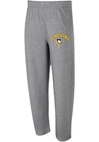 Concepts Sport Pittsburgh Penguins Mens Grey Mainstream Fashion Sweatpants