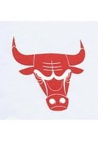 Mitchell and Ness Chicago Bulls White CHERRY BOMB Long Sleeve T Shirt