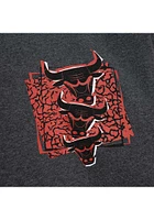 Mitchell AND Ness Chicago Bulls Mens Grey BORN BRED Long Sleeve Fashion Sweatshirt