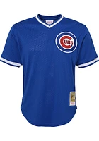 Ryne Sandberg  Mitchell and Ness Chicago Cubs Youth Blue MLB Player Jersey