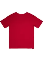 Mitchell and Ness Cincinnati Reds Red LEGENDARY SLUB TEE Short Sleeve Fashion T Shirt