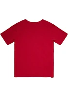 Mitchell and Ness St Louis Cardinals Red LEGENDARY SLUB TEE Short Sleeve Fashion T Shirt