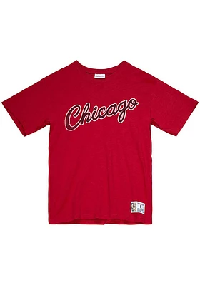 Mitchell and Ness Chicago Bulls Legendary Slub Short Sleeve Fashion T Shirt