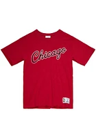 Mitchell and Ness Chicago Bulls Legendary Slub Short Sleeve Fashion T Shirt