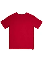 Mitchell and Ness Chicago Bulls Legendary Slub Short Sleeve Fashion T Shirt