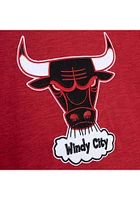 Mitchell and Ness Chicago Bulls Red Legendary Slub Long Sleeve Fashion T Shirt
