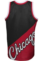 Mitchell and Ness Chicago Bulls Youth Red NBA Big Face Short Sleeve Tank Top