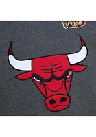 Mitchell and Ness Chicago Bulls Mens Playoff Win 2.0 Long Sleeve Fashion Sweatshirt
