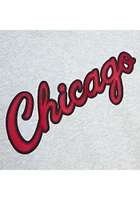 Mitchell and Ness Chicago Bulls Mens Grey Playoff Win 2.0 Long Sleeve Fashion Sweatshirt