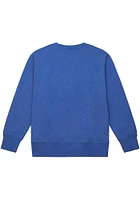 Mitchell and Ness Detroit Pistons Mens Blue Playoff Win 2.0 Long Sleeve Fashion Sweatshirt