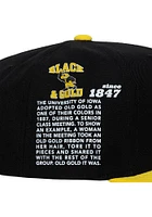 Mitchell and Ness Iowa Hawkeyes Black Team Origins Mens Snapback Hat