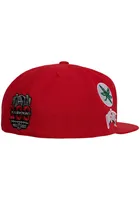 Mitchell and Ness Ohio State Buckeyes Mens Red Team Origins Fitted Hat