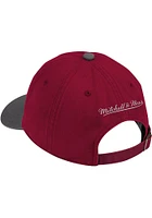 Mitchell and Ness Ohio State Buckeyes Team 2T 2.0 Dad Adjustable Hat - Red