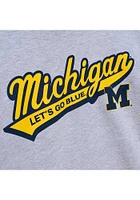 Mitchell and Ness Michigan Wolverines Mens Grey Script Fashion Hood