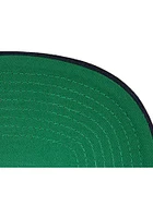 Mitchell and Ness St Louis Blues Blue Team Ground 2.0 Pro Mens Snapback Hat