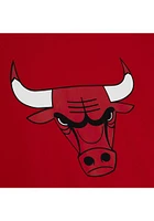 Mitchell and Ness Chicago Bulls Red Origins Varsity Short Sleeve T Shirt