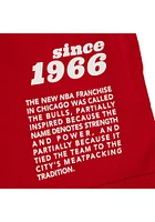 Mitchell and Ness Chicago Bulls Red Origins Varsity Short Sleeve T Shirt